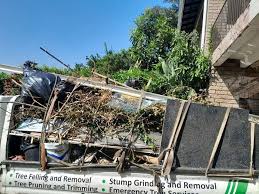 Moving and Downsizing Cleanouts in Las Lomas, TX