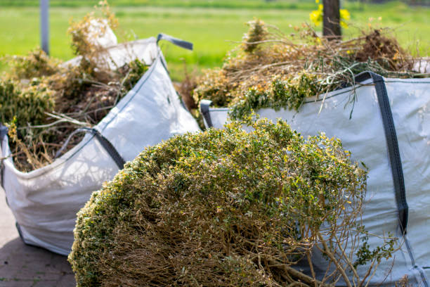 Best Commercial Junk Removal  in Las Lomas, TX