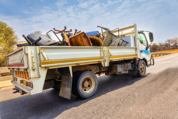 Best Carpet Removal and Disposal  in Las Lomas, TX